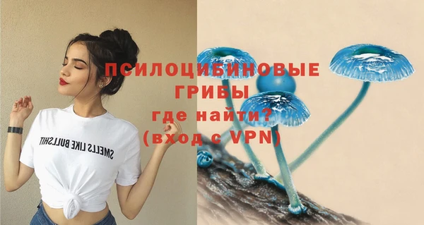 каннабис Пестово