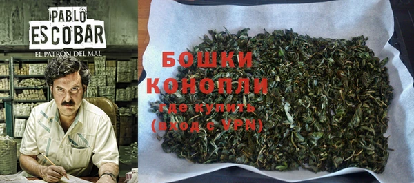 apvp Пересвет