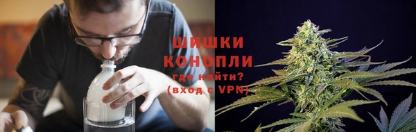 apvp Пересвет