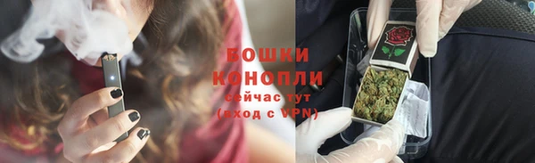 дживик Грязовец