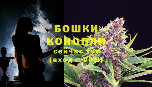 apvp Пересвет