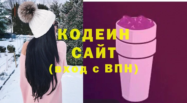 эйфоретик Вяземский