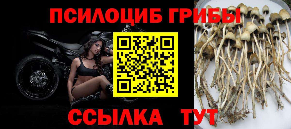 Псилоцибиновые грибы Magic Shrooms  купить закладку  Рославль  Вход с VPN 